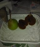 pera brutta e buona o ubriaca o mora di Faenza
